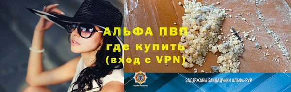 PSILOCYBIN Волосово