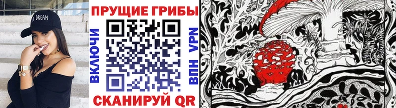 где продают   Верхний Тагил  mega tor  Псилоцибиновые грибы ЛСД 